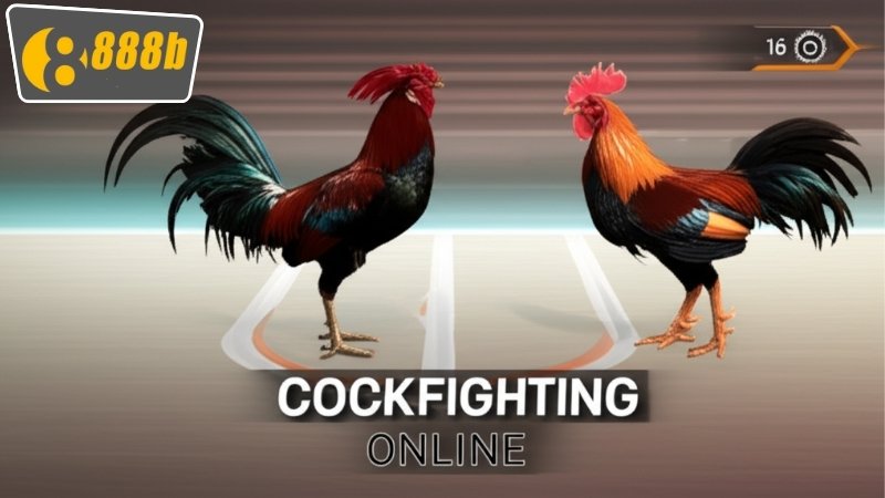 Đá Gà Online 888b - Hướng Dẫn Cách Chơi Và Chiến Thắng Lớn 4 Phân tích các loại cược và cách để tối đa hóa về lợi nhuận
